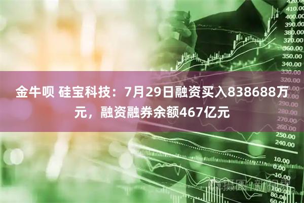 金牛呗 硅宝科技：7月29日融资买入838688万元，融资融券余额467亿元