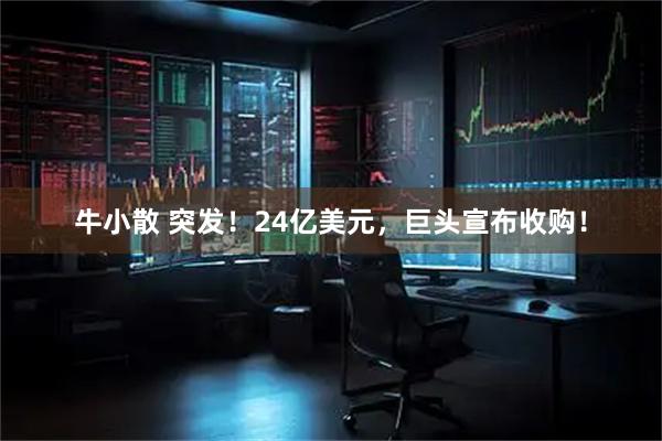 牛小散 突发！24亿美元，巨头宣布收购！